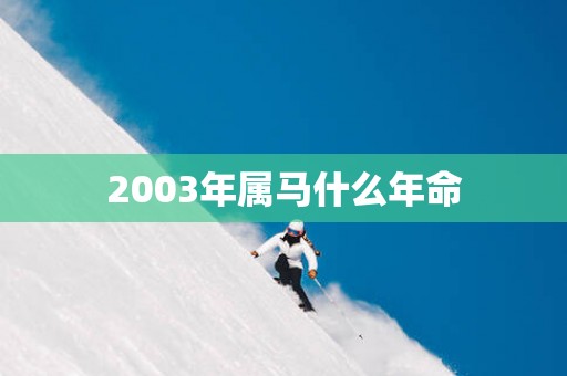 2003年属马什么年命