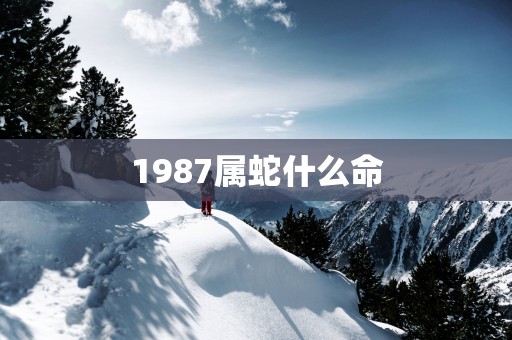 1987属蛇什么命