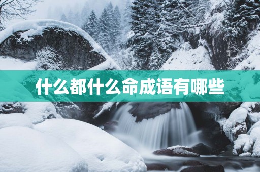 什么都什么命成语有哪些