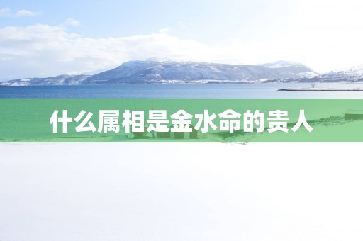 什么属相是金水命的贵人