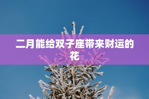 二月能给双子座带来财运的花