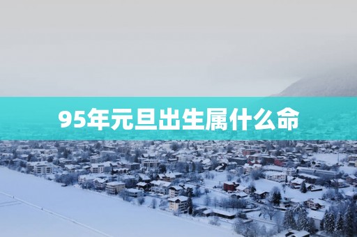 95年元旦出生属什么命