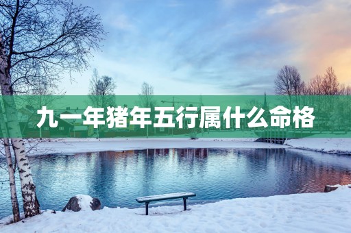 九一年猪年五行属什么命格