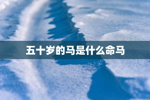 五十岁的马是什么命马