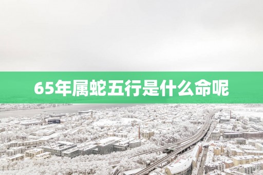 65年属蛇五行是什么命呢
