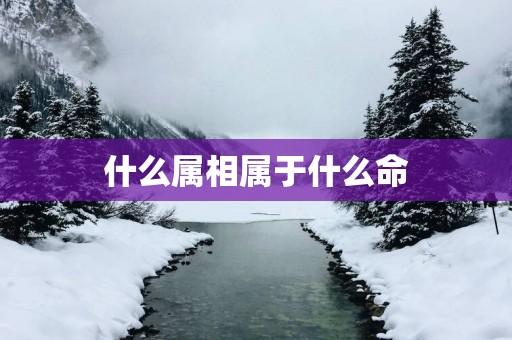 什么属相属于什么命