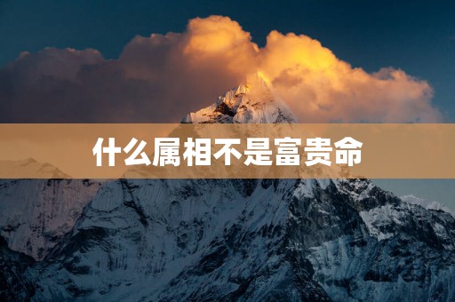 什么属相不是富贵命 什么属相不是富贵命