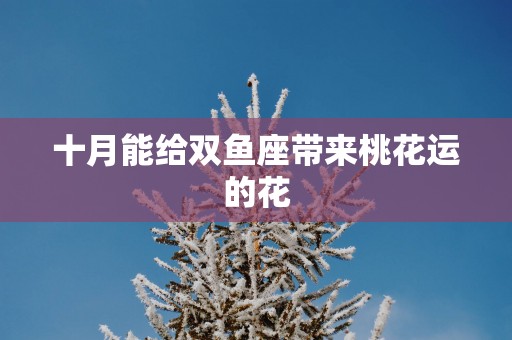 十月能给双鱼座带来桃花运的花