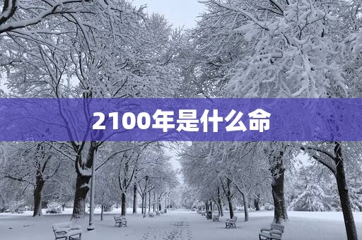 2100年是什么命