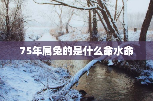 75年属兔的是什么命水命