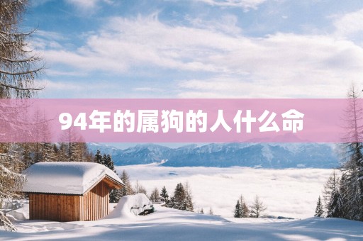 94年的属狗的人什么命