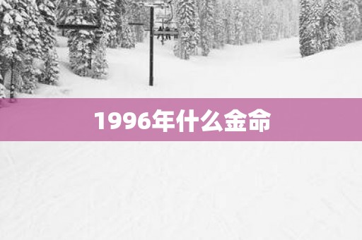 1996年什么金命