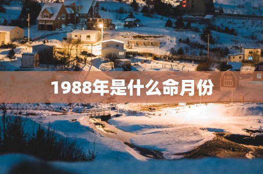 1988年是什么命月份