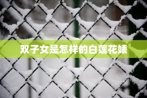 双子女是怎样的白莲花婊