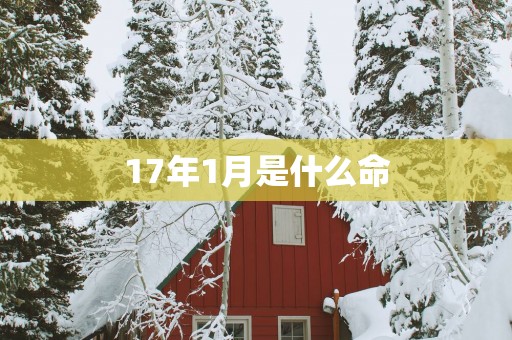 17年1月是什么命