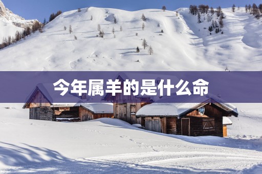 今年属羊的是什么命