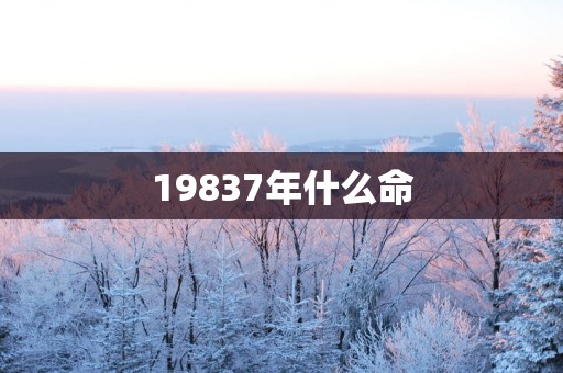 19837年什么命