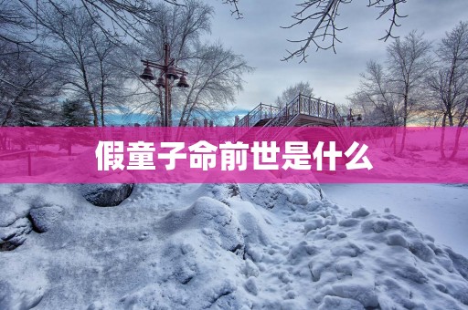 假童子命前世是什么