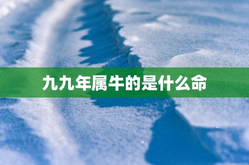 九九年属牛的是什么命