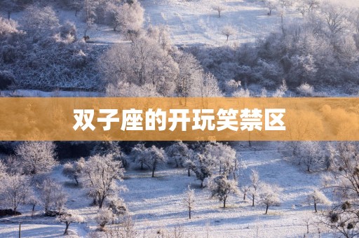 双子座的开玩笑禁区