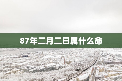 87年二月二日属什么命