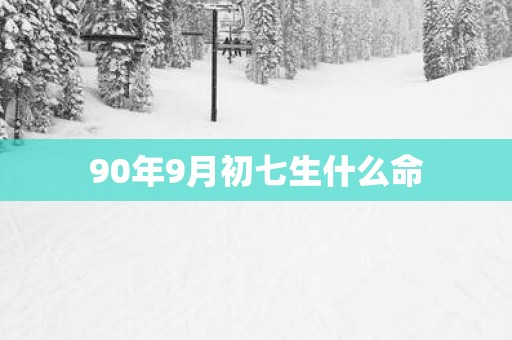 90年9月初七生什么命