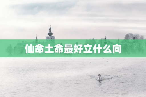 仙命土命最好立什么向