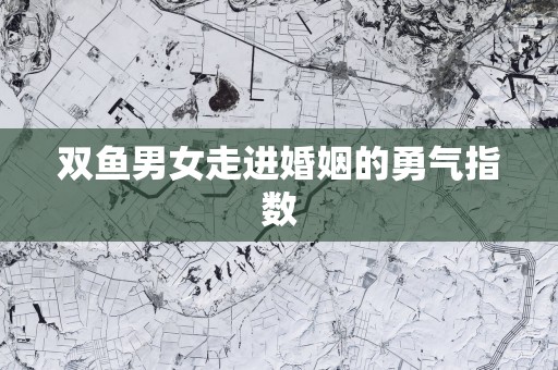 双鱼男女走进婚姻的勇气指数