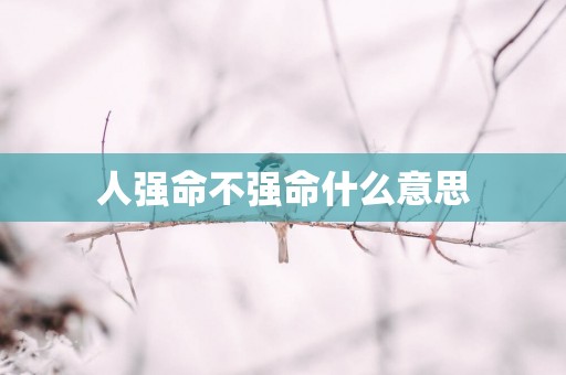 人强命不强命什么意思