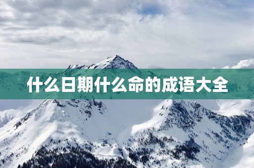 什么日期什么命的成语大全