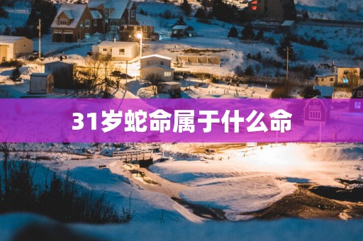 31岁蛇命属于什么命