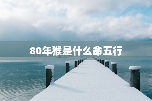 80年猴是什么命五行