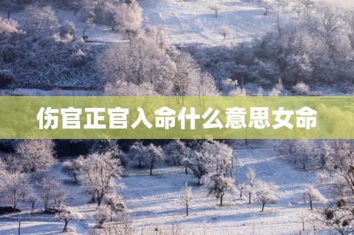 伤官正官入命什么意思女命