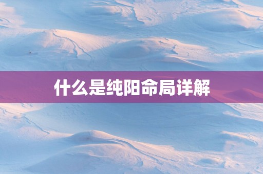 什么是纯阳命局详解