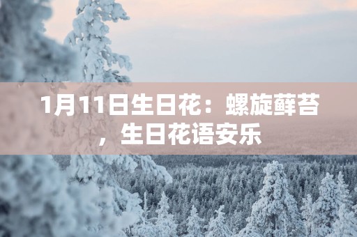1月11日生日花：螺旋藓苔，生日花语安乐