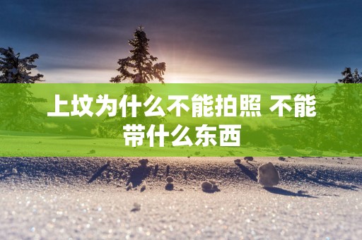 上坟为什么不能拍照 不能带什么东西