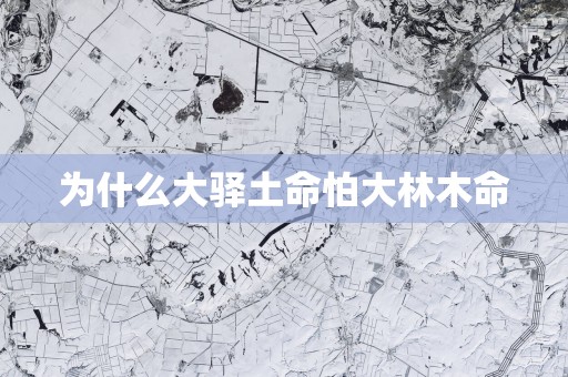 为什么大驿土命怕大林木命