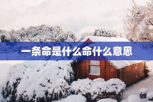 一条命是什么命什么意思