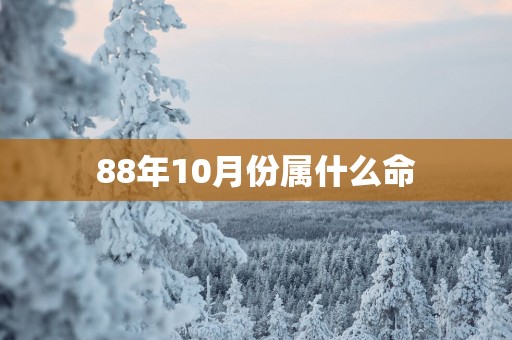 88年10月份属什么命