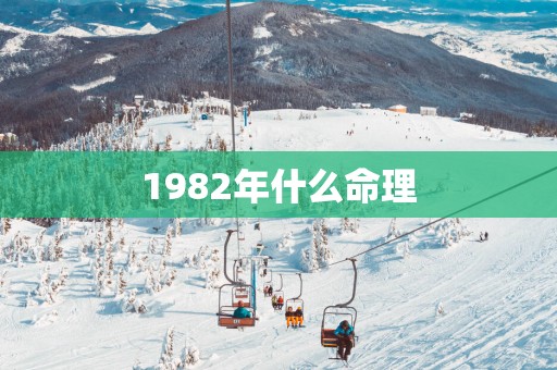 1982年什么命理