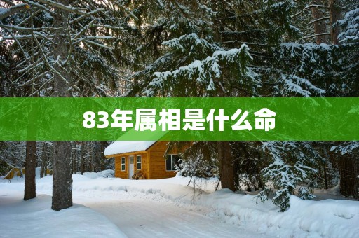 83年属相是什么命