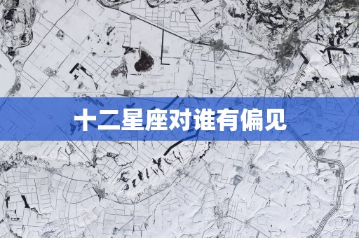 十二星座对谁有偏见