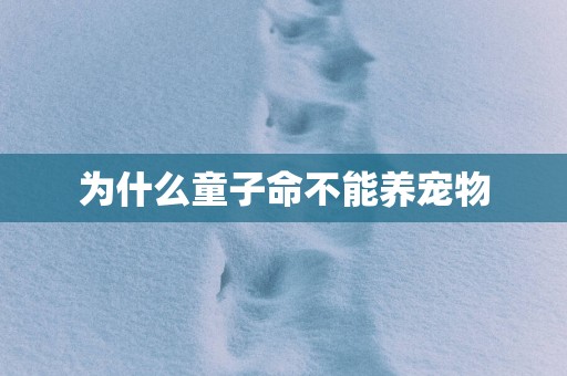 为什么童子命不能养宠物