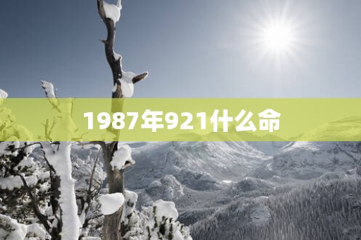 1987年921什么命