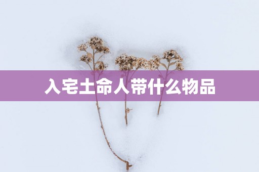 入宅土命人带什么物品