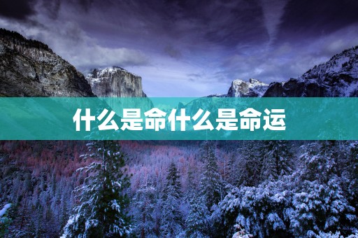 什么是命什么是命运
