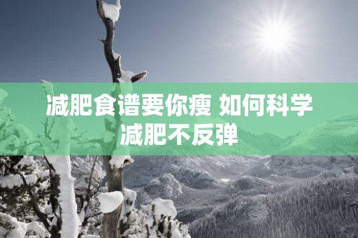 减肥食谱要你瘦 如何科学减肥不反弹
