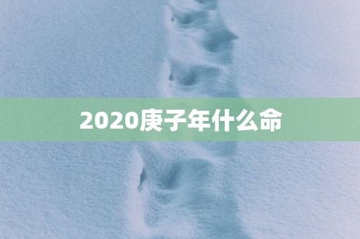 2025庚子年什么命