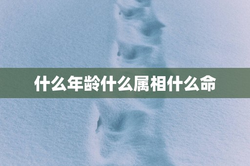 什么年龄什么属相什么命