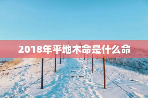 2018年平地木命是什么命
